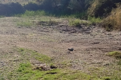 ORHANGAZİ ILIPINAR HÖYÜĞÜ'NDE KAÇAK KAZI