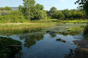 Ilıpınar Höyüğü Arkeo park olmayı bekliyor.