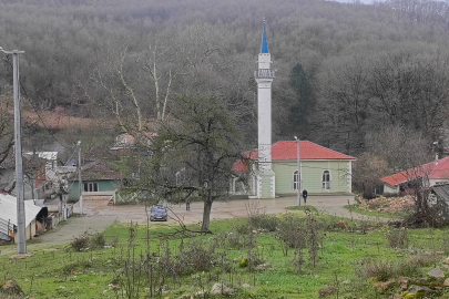 Orhangazi'nin dış mahallesi Hamzalı'da hırsız alarmı..