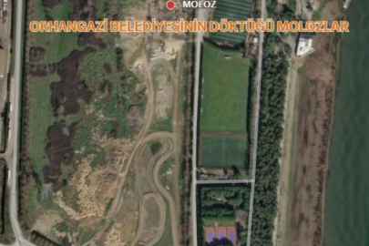 Bursa İl Tarım ve Orman Müdürlüğü'nden Orhangazi ve Büyükşehir belediyesine ceza yağdı!