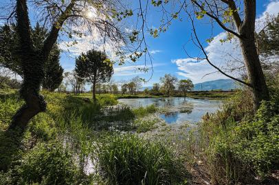 Ilıpınar Höyüğü Arkeopark olmayı bekliyor...