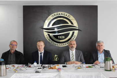 Adaylık Toplantısı mı? İznik Gölü Çalıştay tanıtımı mı?