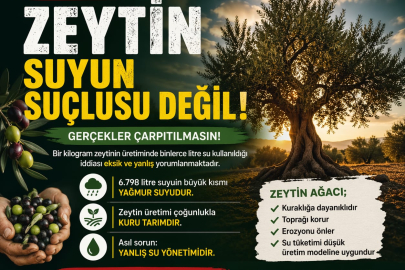 İYİ Parti Orhangazi İlçe Başkanı Bülent Bakış;ZEYTİNİ SU TÜKETİMİYLE SUÇLAMAK BİLİMSEL DEĞİL, EKSİK BİR YORUMDUR.