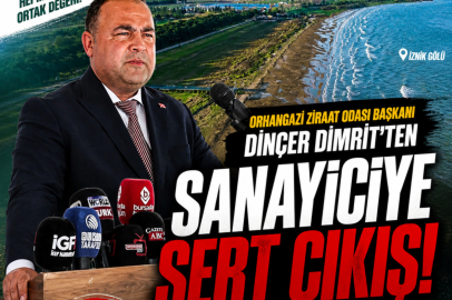 Ziraat Odası'ndan İznik Gölü Sempozyumu'na tepki! "Suçlu yine üretici mi ilan edilecek?"