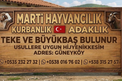 Yalova Güney Köyde Ufakbaş Kurbanlık satışlarında patlama oldu.