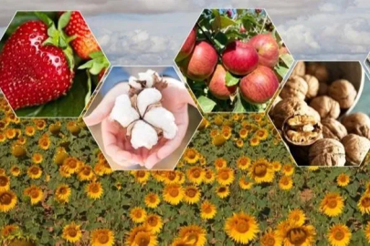 2026’da bitkisel üretimde büyük artış bekleniyor