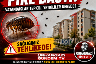 Orhangazi Toki 5. Etabı Pire bastı